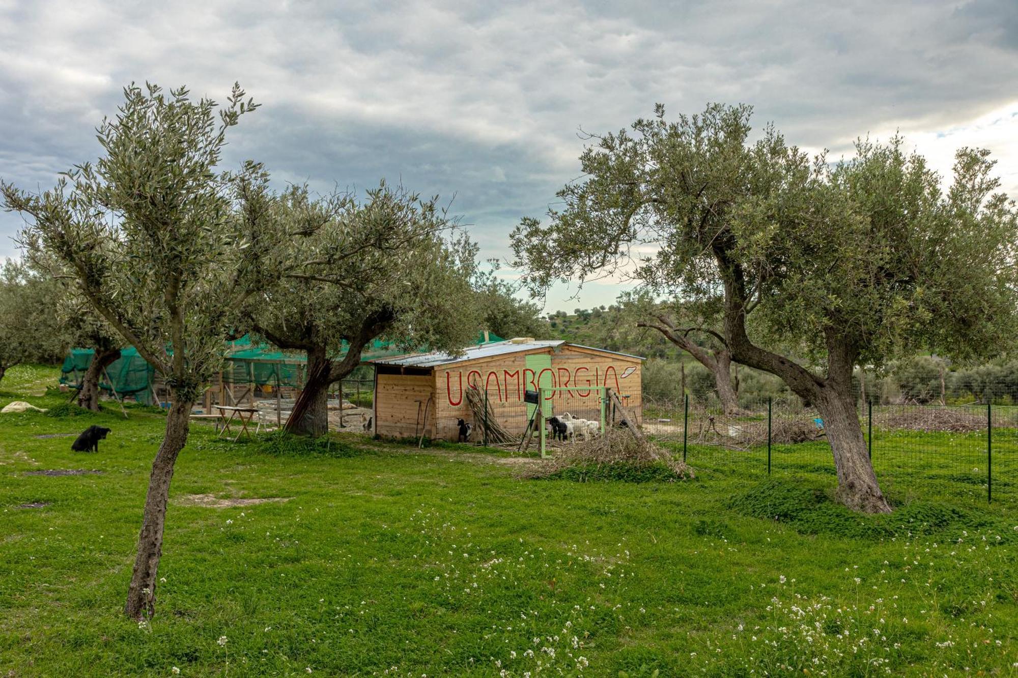 نوتو Masseria Usamborgia المظهر الخارجي الصورة