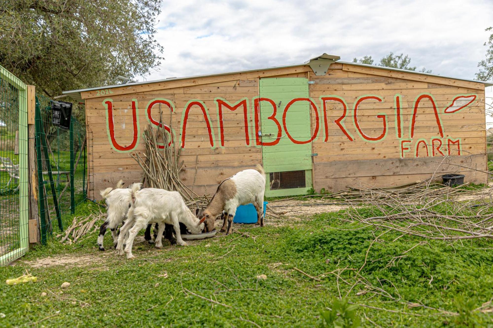 نوتو Masseria Usamborgia المظهر الخارجي الصورة